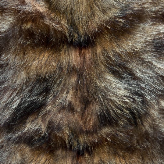 Wolf fur Wolf fur texture for background