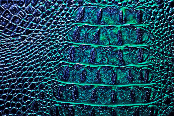 Dark alligator patterned background. Reptile skin.